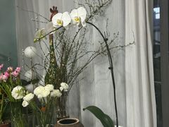 -拾花记花艺·求婚·订婚·生日布置(高新店)