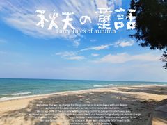 -贝壳沙滩