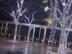 -Plush大堂酒廊(北京金融街威斯汀大酒店)
