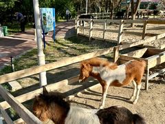 -水上乐园·欢乐世界