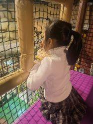 -卡通尼·Safari非洲探索乐园·生日会(金桥国际商业广场店)