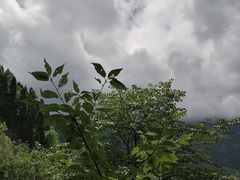 -太阳湾风景区
