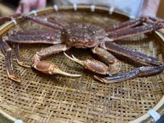 -綱元·海鲜豆捞(明州里店)