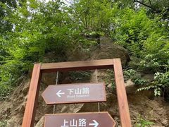 -大岭沟猕猴桃谷风景区