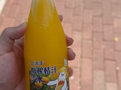 -北京全聚德(王府井店)