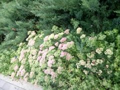 -新荟城(望京店)