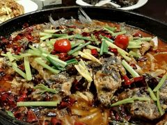 -老板恋上鱼(环山路店)