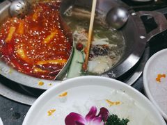 -大龙燚火锅(南山大道店)