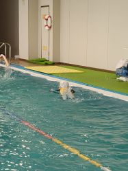 -海豹航航水育游泳中心(芳园里店)