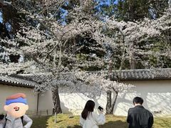 -醍醐寺