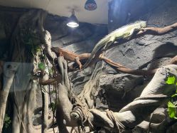 -Zoolung Zoolung动物主题公园(海信广场店)