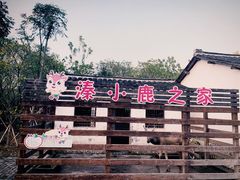 -溱湖国家湿地公园