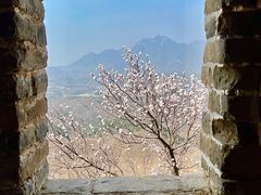 -蟠龙山长城景区