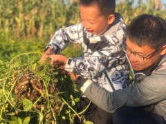 -庞各庄翠芳园西瓜蔬菜基地采摘园