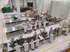 -歌斐颂巧克力小镇