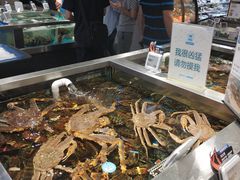 水产区-盒马鲜生(189购物中心店)