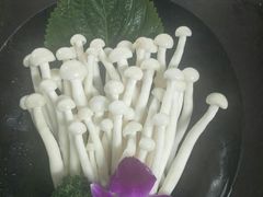 -手选潮汕鲜活牛肉火锅(二七广场店)