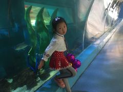 -北国之春国宴(乌兰察布店)