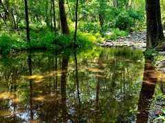 -玉渡山自然风景区