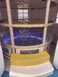 -奈尔宝家庭中心·亲子餐厅(苏州大悦城店)