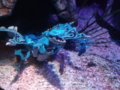 -沈阳海洋探索中心