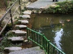iphone_upload_pic-山沟沟景区