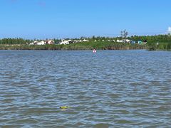 -春花秋色城市公园