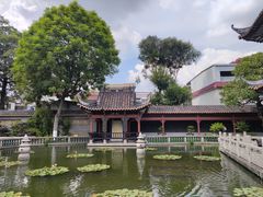 -碧江金楼