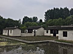 -溱湖国家湿地公园