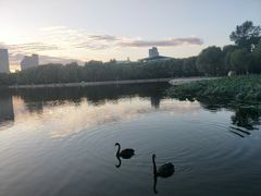 -长春世界雕塑园冰雪艺术天地