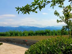 -秦岭风景区