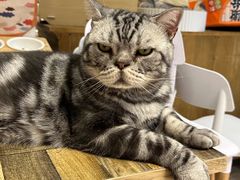 -小时光咖啡馆(北锣鼓巷店)