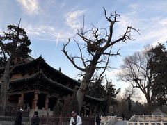 -晋祠公园