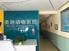 前台-美迦爱-牙专科·兔科·骨科诊疗中心(北苑店)