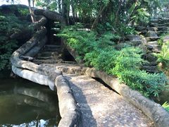 -绿光森林餐厅
