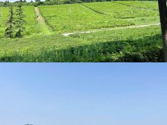 -宜兴龙背山森林公园