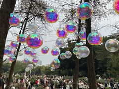 -人民公园(罗湖区)