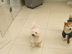 -怪兽屋·羊驼·猫咖·狗咖(俊华广场店)