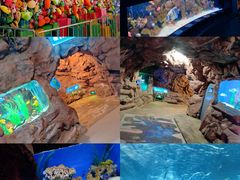 -洛阳龙门海洋馆