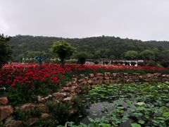 -龙寺生态园