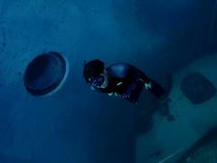 -苏州海洋馆