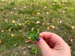 -南京环北服装批发市场