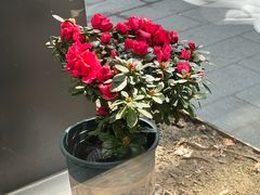 -张福记(五一公园店)