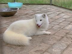 -武汉紫薇都市田园