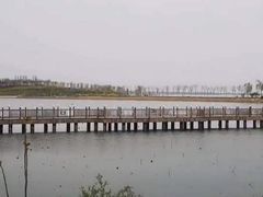 -天津东丽湖风景区