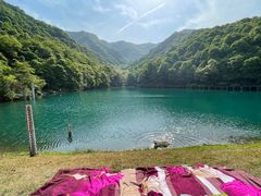 -龙坞茶村