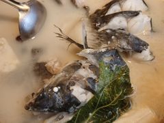 -滇小鱼·云南野生菌火锅(上杭路店)