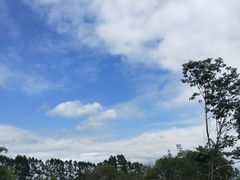 -白鹭湾湿地公园