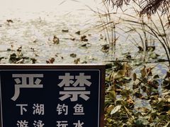 -艾溪湖湿地公园