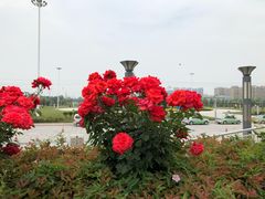 站前广场-郑州西站